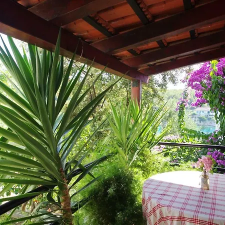 Hraste Hvar Хвар