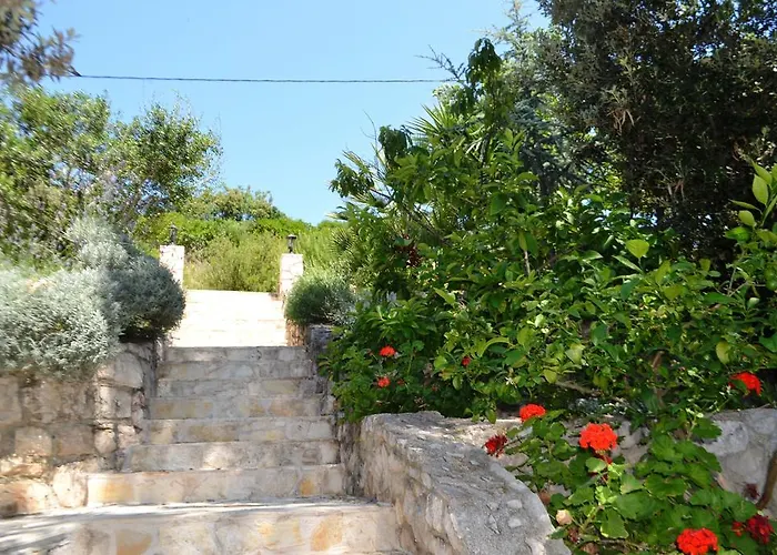 Hraste Hvar * Хвар