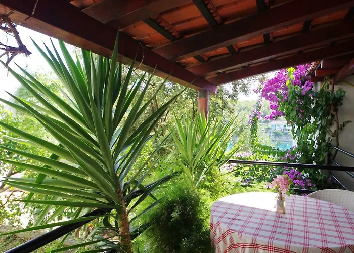 Hraste Hvar Hvar Town