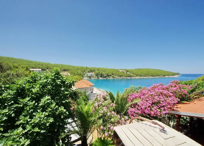 Hraste Hvar フヴァル